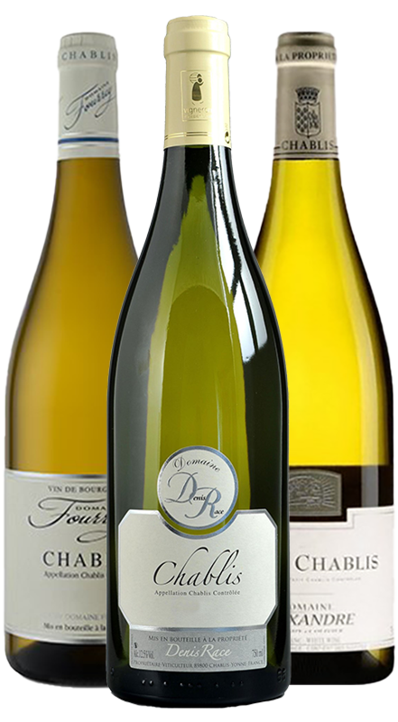 חבילת 3 דומיינים משבלי 